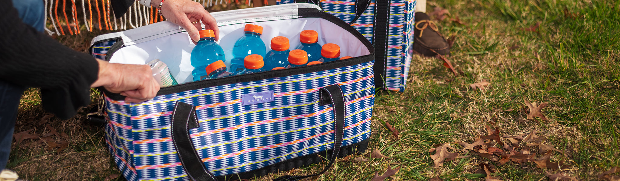 Coolers + Lunch Boxes